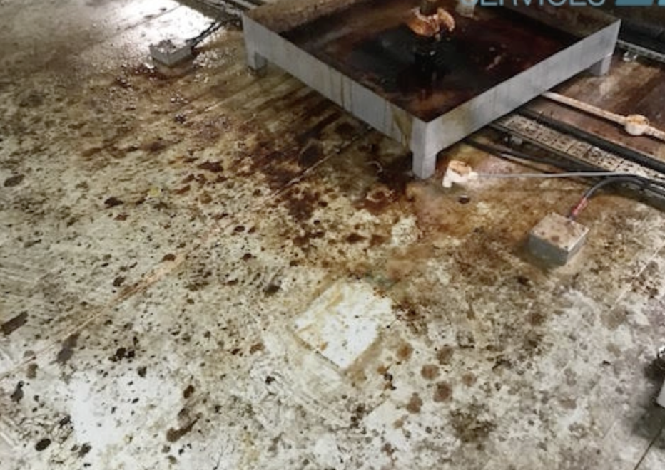 Screenshot 2025-08-04 at 10.02.37 Oil-covered floor surface posing serious health and safety risks before cleaning